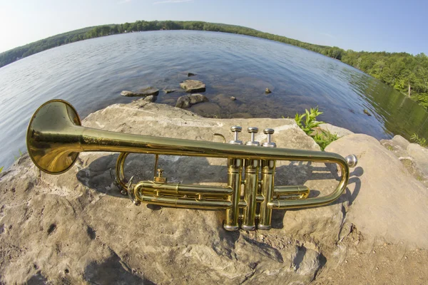 Trumpet Instrument Lake — Stock Photo, Image