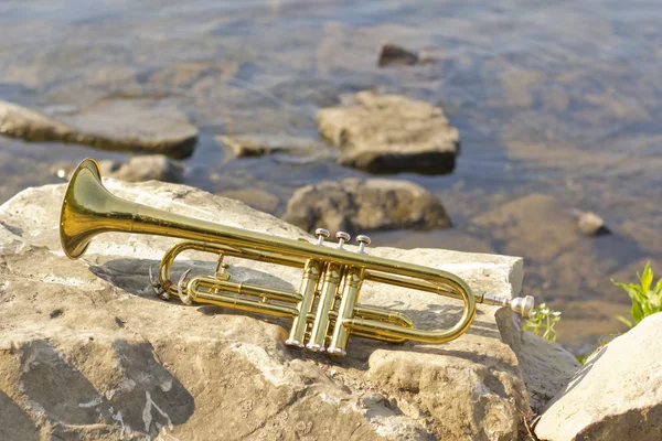 Trumpet Instrument sjö — Stockfoto
