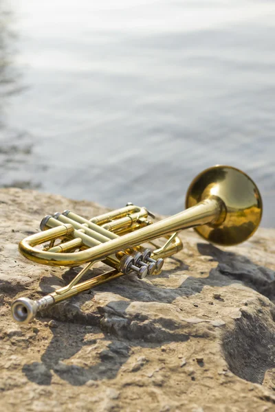 Trompet Instrument Lake — Stockfoto