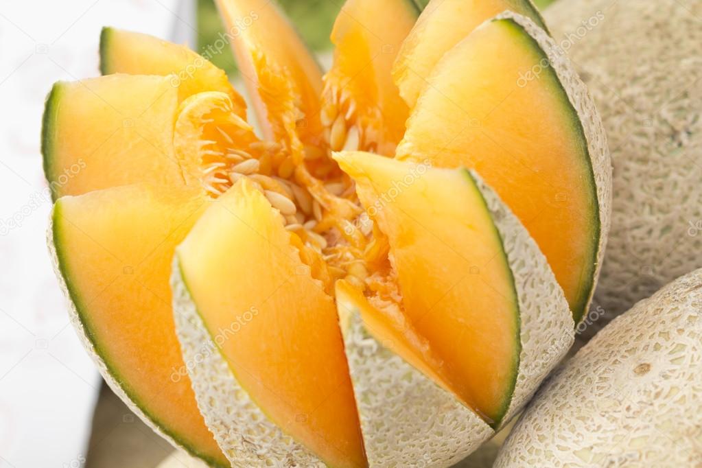 Cantaloupe Melon Close up