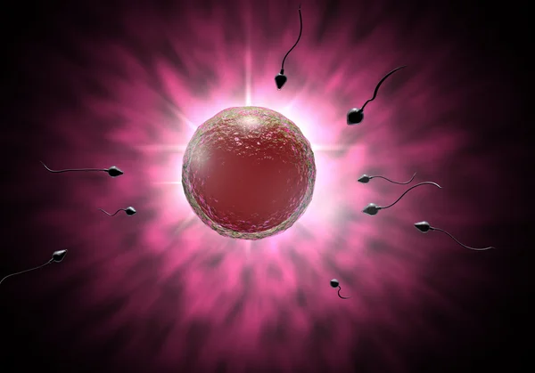 Spermatozoi e uova — Foto Stock