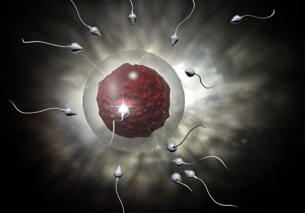 Spermatozoi e uova — Foto Stock