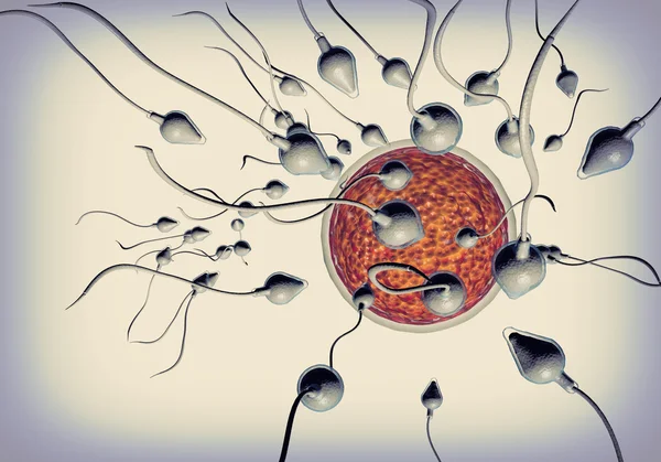 Spermatozoi e uova — Foto Stock