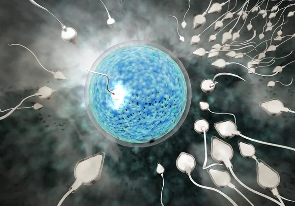 Spermatozoi e uova — Foto Stock