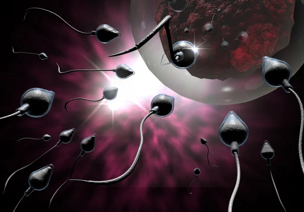 Spermatozoi e uova — Foto Stock