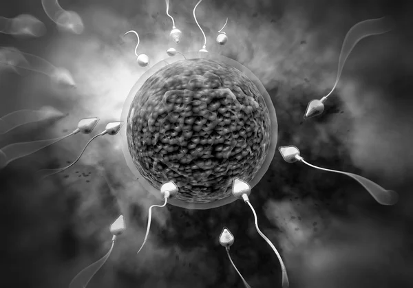 Spermatozoi e uova — Foto Stock