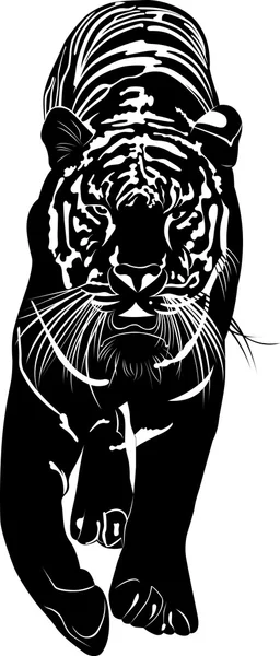 Ilustración de tigre salvaje — Vector de stock