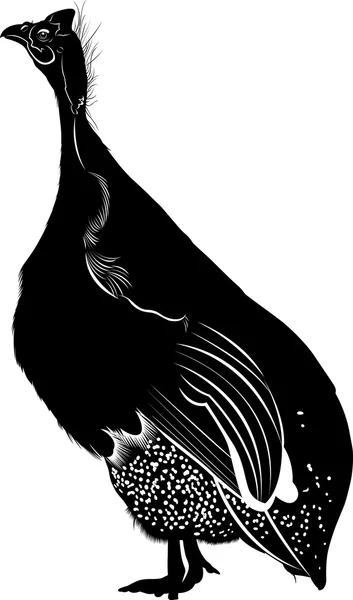 Black silhouette of guinea fowl — Stock Vector