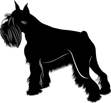 Pug, Fransız buldozer siluetleri vektör kümesi,
