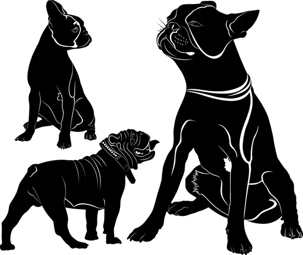 Chien de race Bulldog français debout en vue latérale - silhouette vectorielle isolée — Image vectorielle