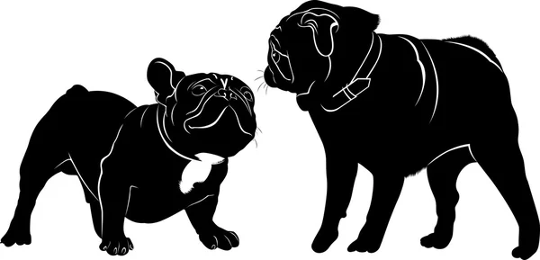 Rencontre animaux chiens bouledogue français et carlin — Image vectorielle