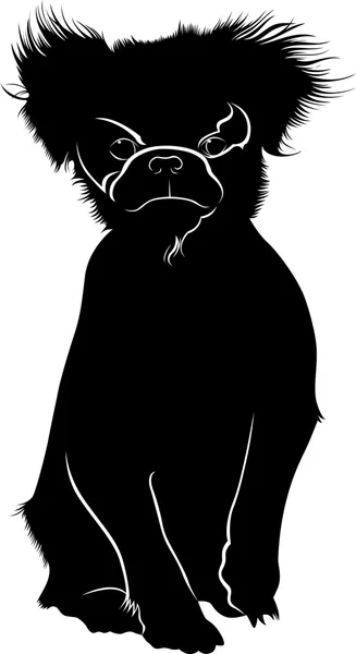 Japanese Chin dog breed. Japanese Chin. Dog pet vector isolated on white background. — Stock Vector