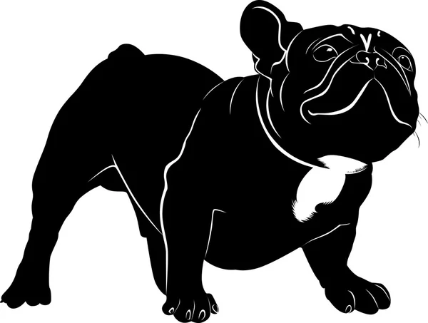 Kutya Bulldog. A kutya tenyészt bulldog. Kutya Bulldog fekete sziluettje — Stock Vector