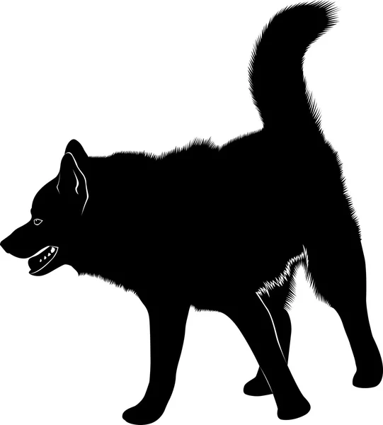 Laika. Laika siberiana. Perro Husky. Husky mascota perro favorito de silueta negro aislado sobre fondo blanco — Vector de stock