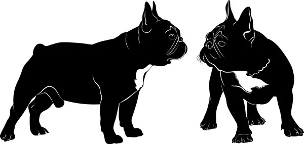 Kutya Bulldog. A kutya tenyészt bulldog. Kutya Bulldog fekete sziluettje vektor elszigetelt fehér background. — Stock Vector