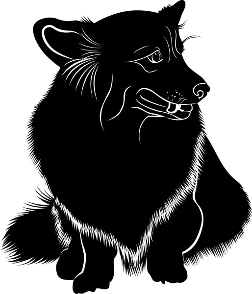 Welsh Corgi Cardigan. Welsh Corgi. Silhouet van een hond van het RAS de Welsh Corgi Pembroke. Vector gestileerde lijntekening van pembroke welsh corgi. — Stockvector