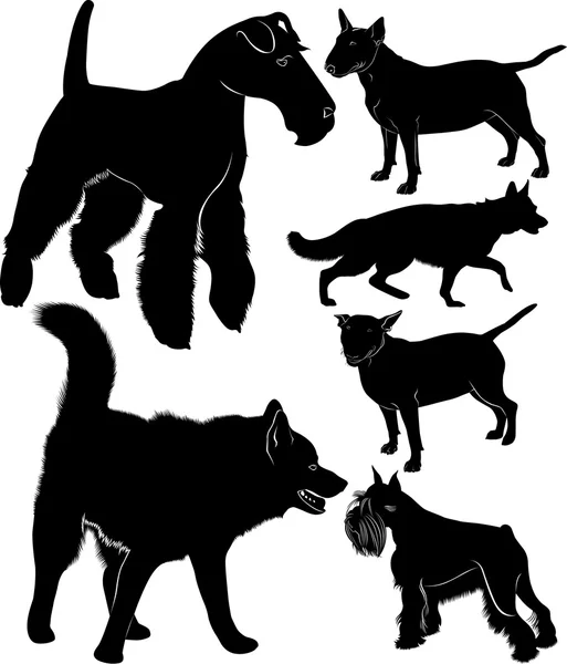 Dog Collection Schäferhund Bullterrier laika fox terrier Zwergschnauzer. Hunde Vektor schwarze Silhouetten isoliert auf schwarzem Hintergrund — Stockvektor