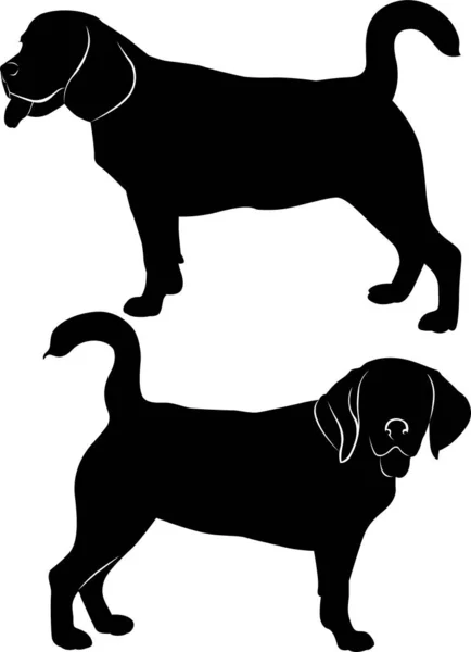 Vector Silhouette Dog Beagle Breed — Stock Vector