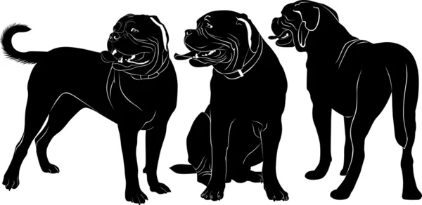 Dogo de Burdeos — Archivo Imágenes Vectoriales