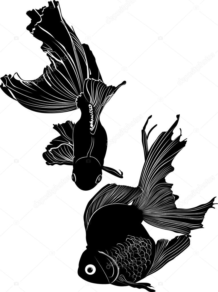 Silhouettes of goldfish and carp