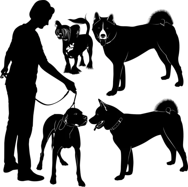 Silhouettes of dogs and owner — Wektor stockowy