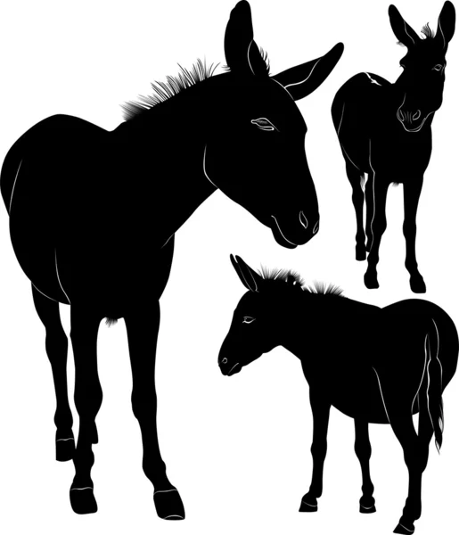 Donkey set — Stock Vector