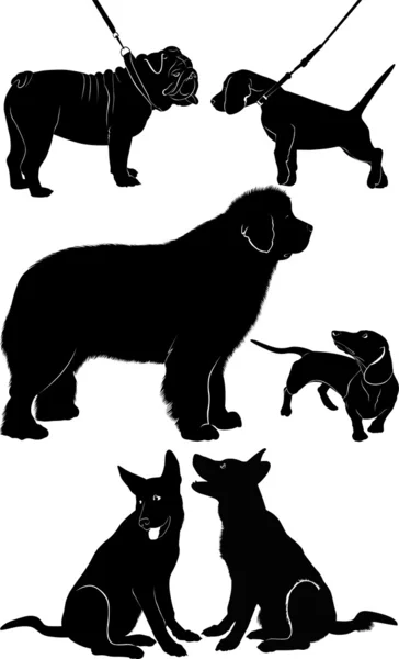 Perros Pastor, Dachshund, bulldog, Terranova — Vector de stock