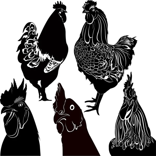 Siluetas de gallo — Vector de stock