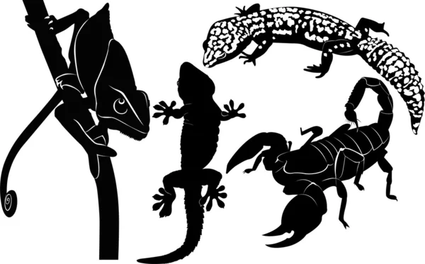 Geco camaleón, langosta, cangrejo y reptil — Vector de stock