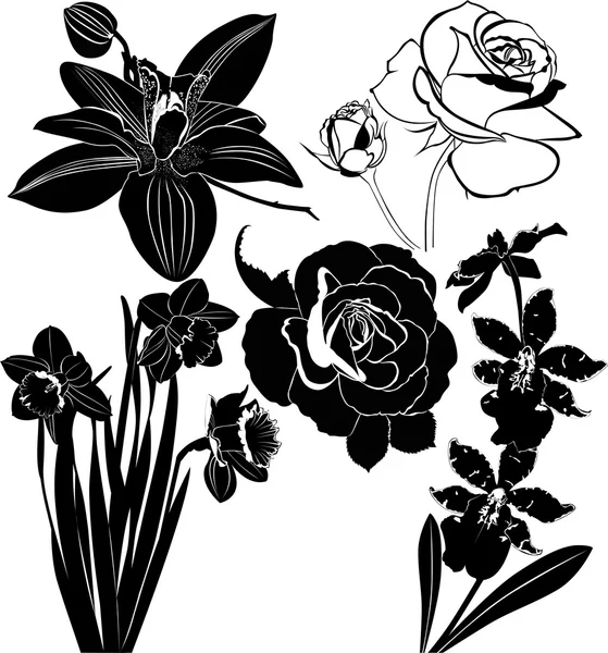 Different flowers silhouettes — Stock Vector