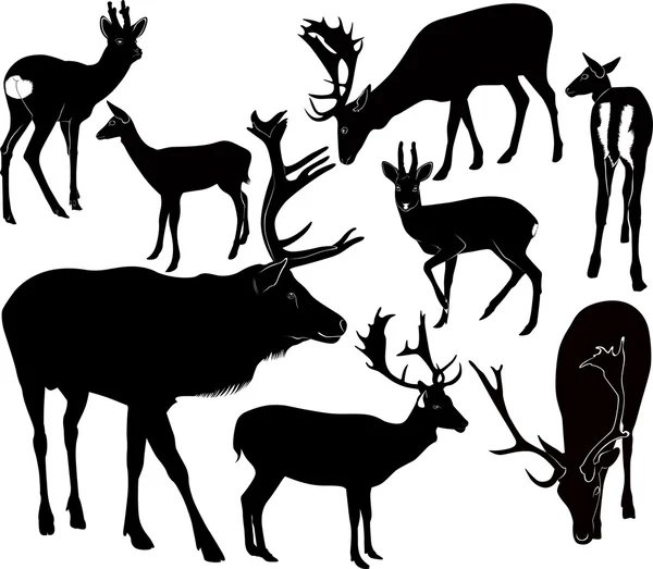 Natural deer silhouette — Stock Vector