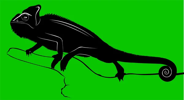 Zwarte chameleon silhouet — Stockvector