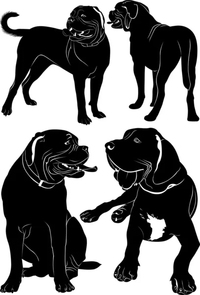 Chiens mastiff français — Image vectorielle