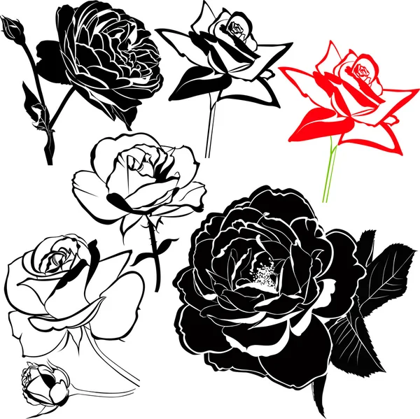 Róże kwiaty zestaw — Wektor stockowy