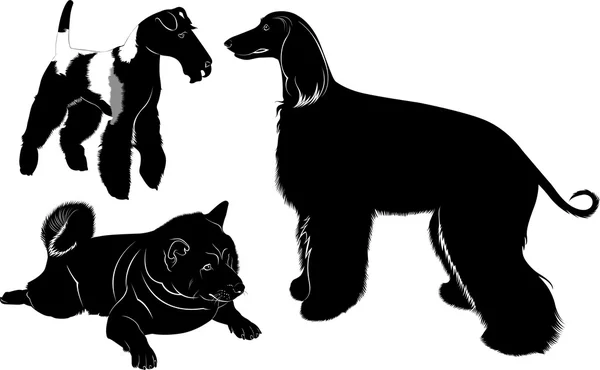 Silhouettes of three dogs — Stock Vector