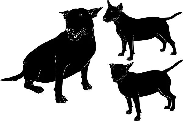 Sylwetki bull terrier pies — Wektor stockowy