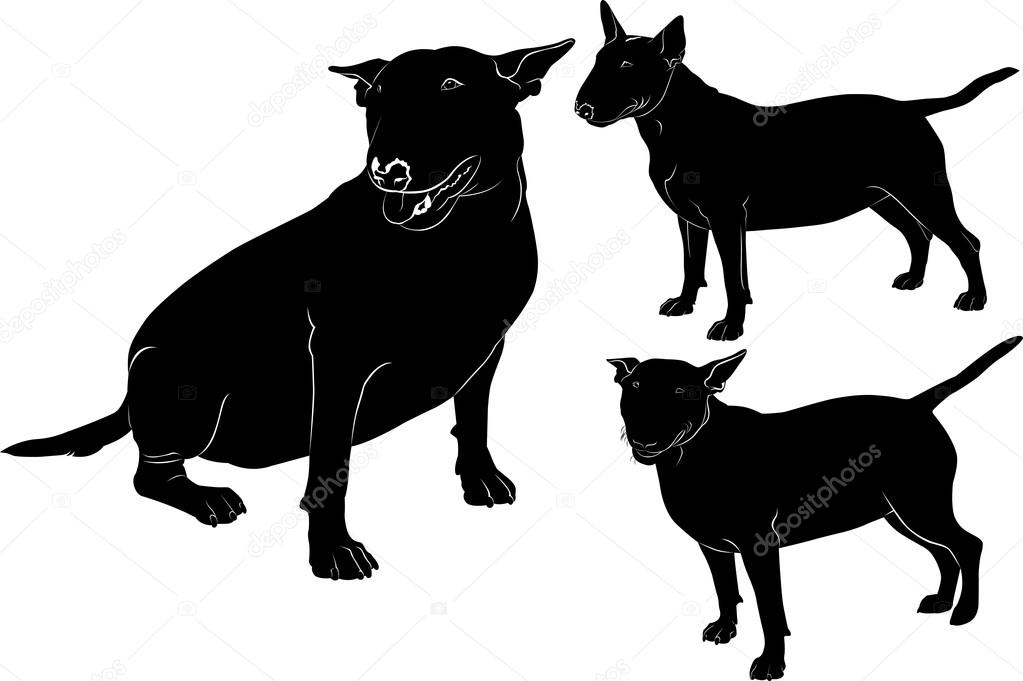 Dog bull terrier silhouettes
