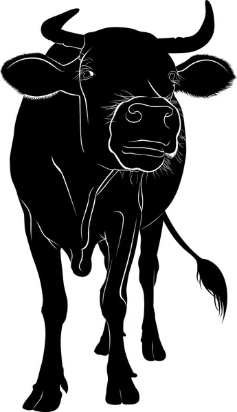 Silueta de vaca aislada — Vector de stock