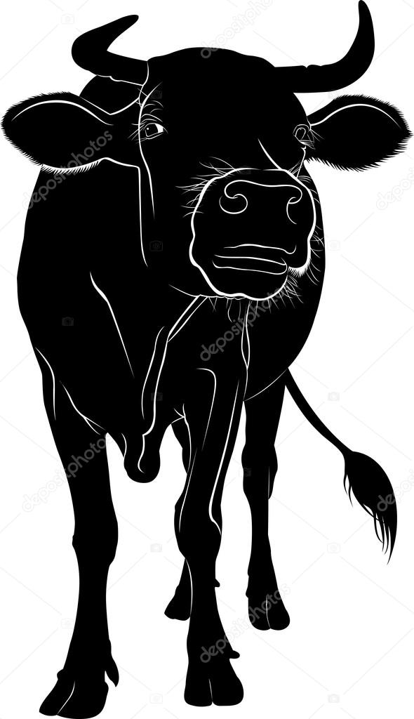 Cow silhouette isolated