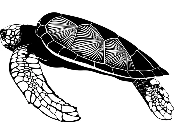 Silueta de tortuga grande — Vector de stock