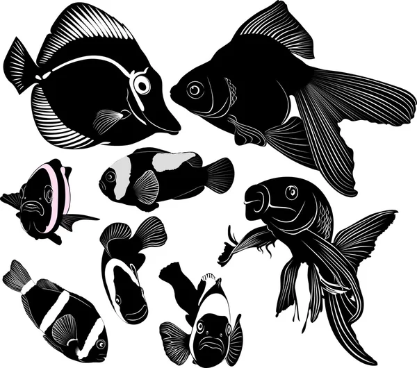 Different fishes silhouettes — Stock Vector