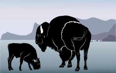 Mature bison and calf clipart