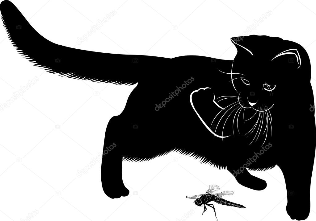 Silhouette of cat and dragonfly
