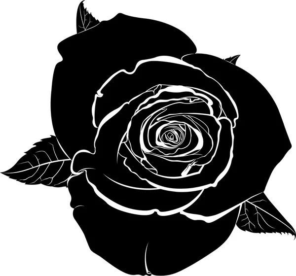 Silhouet van rose bloem — Stockvector