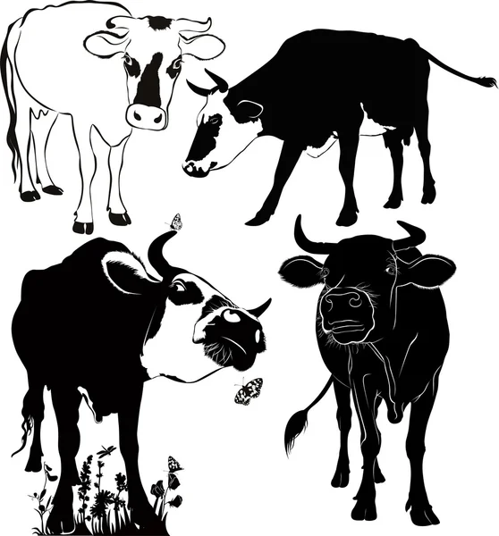 Ilustración de vacas en blanco — Vector de stock