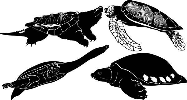 Vier Silhouetten von Reptilien — Stockvektor