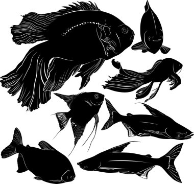 İzole balıklar topluluğu