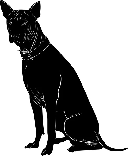 Americano pit bull terrier — Vector de stock