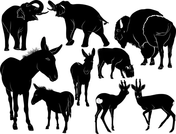 Silhouettes animals  set — Stock Vector
