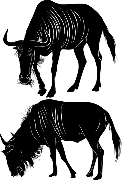 Silhouettes of two wildebeests — Stock Vector
